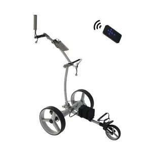 PROMADE 300 GTS TELECOMMANDÉ-1