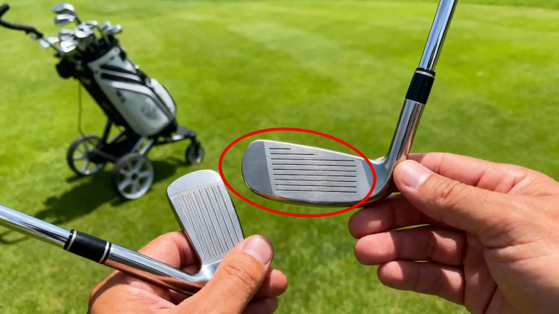 Plusieurs putters élégants sur gazon, putter mis en valeur, chariot de golf en arrière-plan